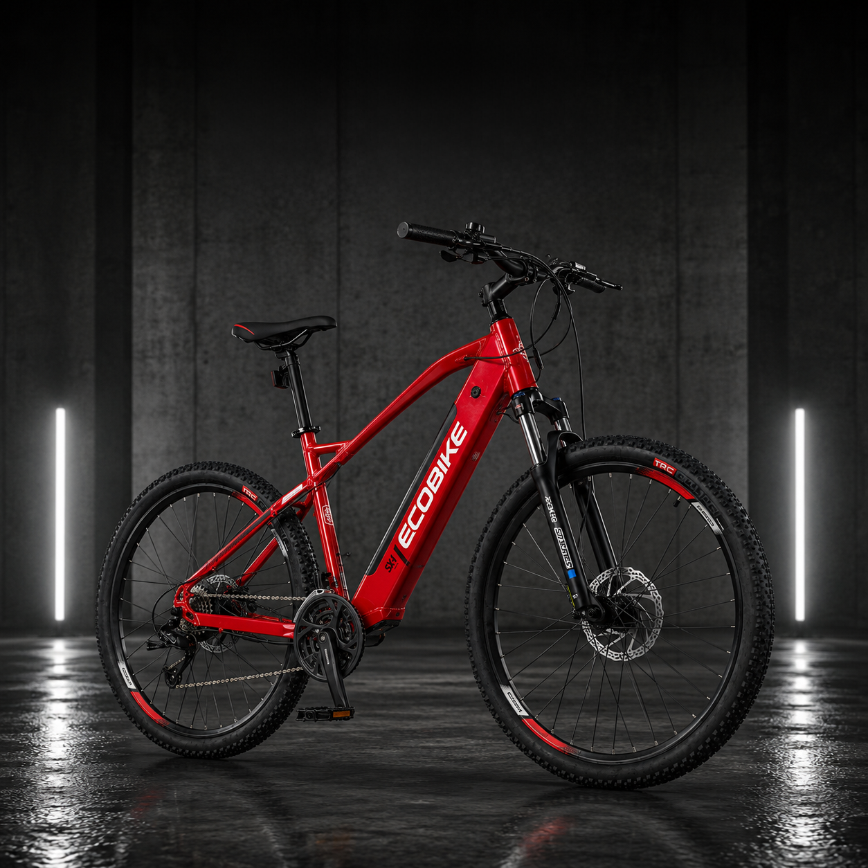 EcoBike SX4